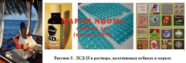 гашик Алексеевка