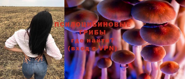 гашик Алексеевка