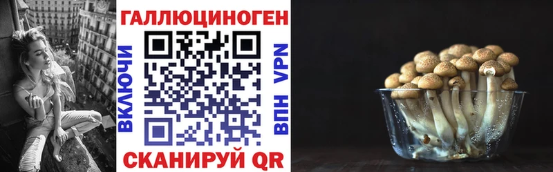 Галлюциногенные грибы Psilocybe  Петрозаводск 