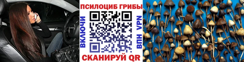 Галлюциногенные грибы Cubensis Петрозаводск